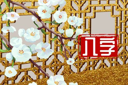 排盘报告阅读顺序