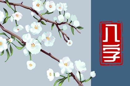 易理与四柱：互补视角