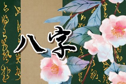 命宫身宫速读