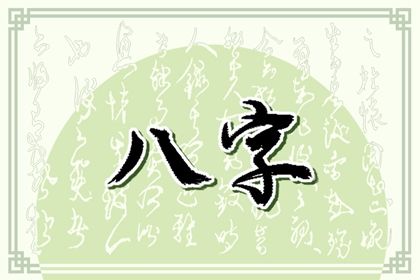 排盘报告阅读顺序