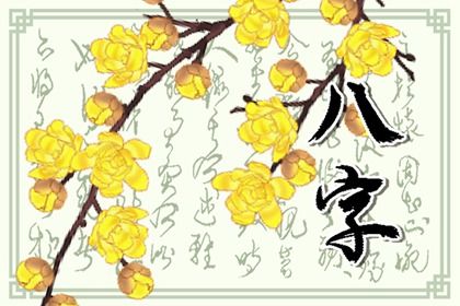 五行分析：偏枯与平衡