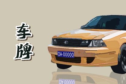 车牌数字解读