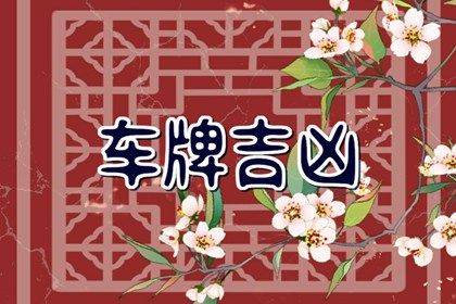 测算结果怎么用