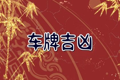 车牌数字解读