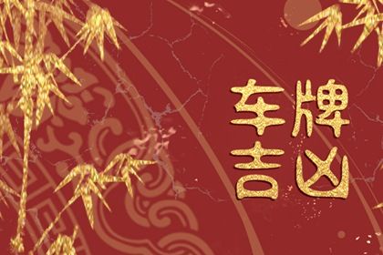 数字化号码参考用法