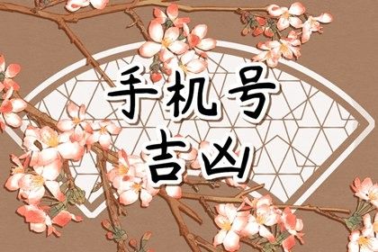 五行与选号