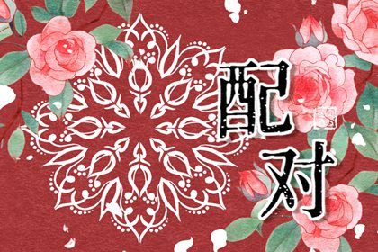 南坤排盘 家庭八字 命格排盘查询 八字无刑冲合害 真命八字