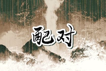 量车牌号打分_车牌号测算免费_测算车牌号吉凶_汽车车牌号码吉凶查询