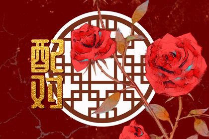 2026老黄历查询,老黄历查询,老黄历每日宜忌查询,黄历2026黄道吉日,老黄历2026年查询