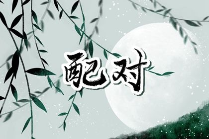 自由恋爱时代的合婚