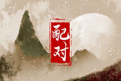 血型配对(民俗参考)