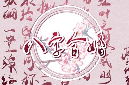 命盘解析免费 命盘查询免费测算 紫微练功馆 批八字命盘