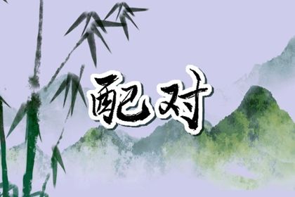 诠天八字算命 查八字四柱 八字盘详细解盘