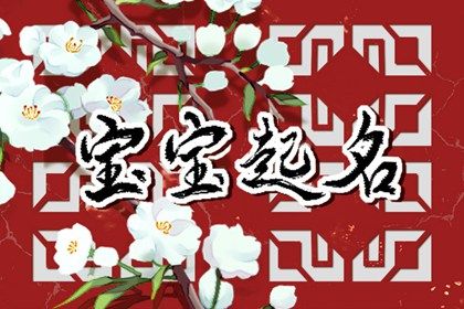 常见起名误区