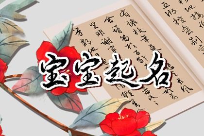 缺什么就补什么吗