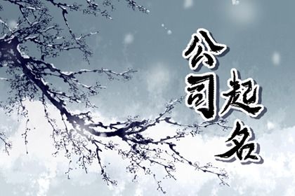 公司名与商标