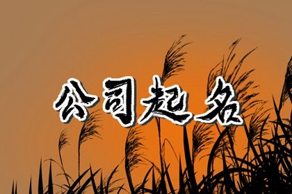 公司名与商标