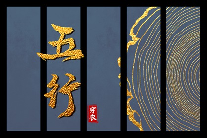八字确定卦象 八字纹排盘 天乙八字排盘