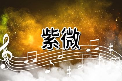 数字化紫微参考用法