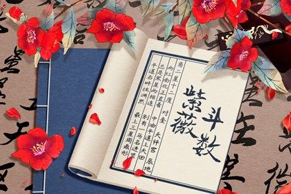 在线紫微查询怎么看