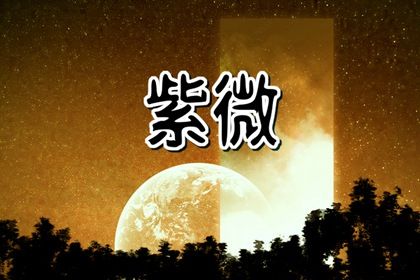 排盘格不是终局