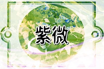 十二宫参考格用法
