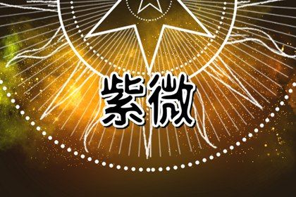 如何读本页结果