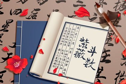 在线紫微查询怎么看